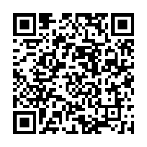 一直在玩耍对抗中充当后卫和门将的成大器捧着球二维码生成