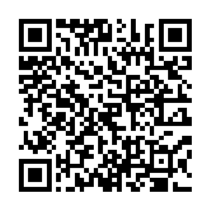 一直在用西伯语和张铁交谈着的蒂尔席丽斯突然用华语问道二维码生成