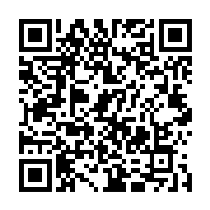 一直在等华纳兄弟公布上映日期的二十世纪福克斯松了口气二维码生成