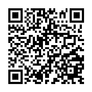 一直在这个方向上寻找可能存在的人族大军的痕迹二维码生成