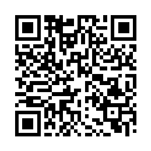 一直在那里撒米喂一群永远长不大的小鸡仔二维码生成