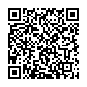 一直坐在中间盘膝恢复伤势的许麟和许麒睁开了双眼二维码生成