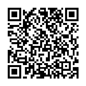 一直坐在左亨车里副驾驶位的闵传政见左亨这么失控二维码生成