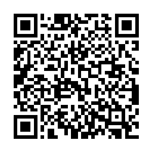 一直坐在那台高加密笔记本面前的身影和周围环境一样清冷二维码生成