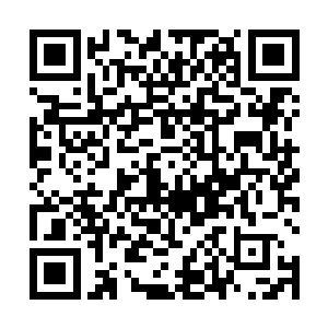 一直坐那也不说话只笑眯眯看的巴克连忙起身抱女儿哄二维码生成