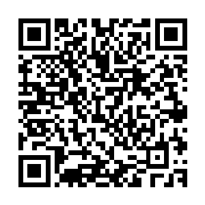 一直密切注视凌菲动作的清乐在看到俩人拔的植物后嗤之以鼻二维码生成