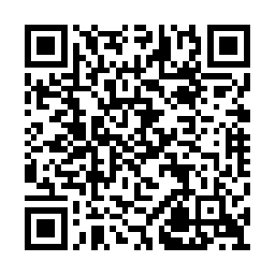 一直就呆在这小岛上和自己的亲人们生活在这里二维码生成