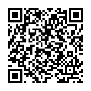 一直待在千叶之森附近的石巨人领地和那些闷石头玩捉迷藏二维码生成