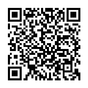 一直恭敬站在一旁的一名旋涡星系贵族听到了马龙大人的问话二维码生成