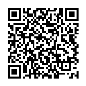 一直情绪不怎么好的力莲显然被这个消息给震惊到了二维码生成