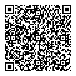 一直想着要反抗　然而当真正开始反抗的时候　他们才发现　其实那颗躁动的心早已在血泪之中化作了甘愿　心甘情愿的成为奴隶二维码生成
