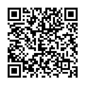 一直抻着嗓子整齐喊数字的数十万修士仿佛一下子被掐住了脖子二维码生成