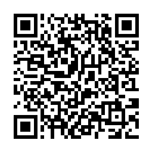 一直没有出声的暗蜇大神眼中闪过了一抹惊喜的表情二维码生成