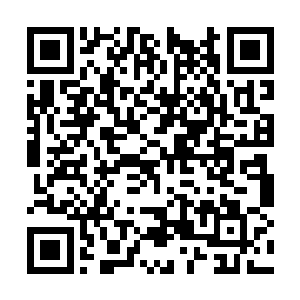 一直没有出声的桑林打量了袁天罡和七情凶灵两眼二维码生成