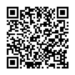 一直没有在仙界露面的八道仙人也出现在大家的视线之中二维码生成