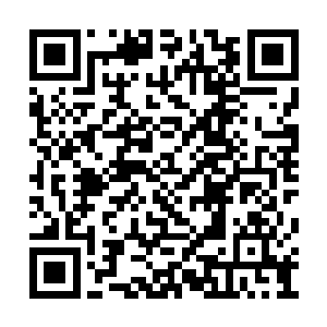 一直没有开口的另外一个少年嘴角噙着一抹坏笑二维码生成