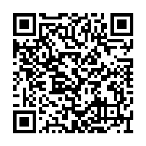 一直沸腾着的火海竟是突然凸起巨大金红色浪潮二维码生成