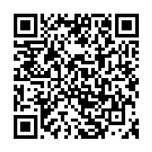 一直用关切的目光注视着自己的希望・轻声说道二维码生成