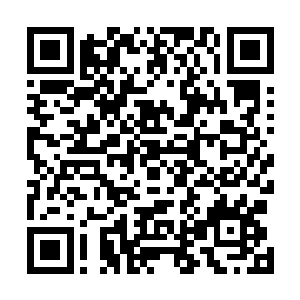 一直看着那只萎缩的触足在他手上燃烧彻底的变成了灰烬二维码生成