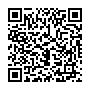 一直站在他身后虎视眈眈的四名保镖马上明白了他的意思二维码生成