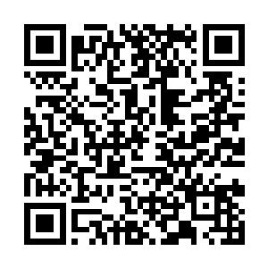 一直站在徐灵公身后的苏映雪和青奎都露出动容之色二维码生成