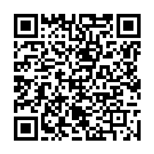 一直站在旁边的韩子桐突然扑到围栏边上探出头去二维码生成