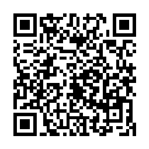 一直等到2014年乐队才获得了在迷笛摇滚音乐节上演出的机会二维码生成