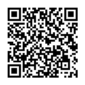 一直精神紧绷的芙萸此刻也终于露出一丝放松的神态二维码生成