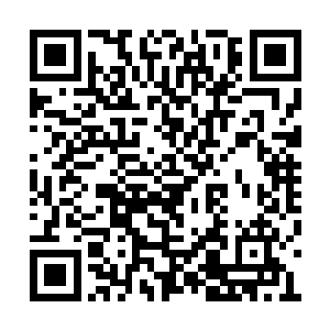 一直紧张的注意着力易的柑发觉了他的表情变了二维码生成