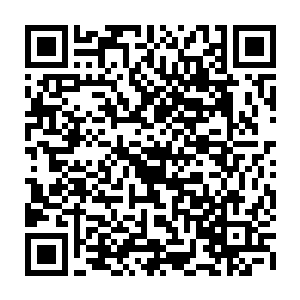 一直紧紧守在龙野身边的乌灵一边心痛的看着龙野一边试探着瞧着凌菲的表情二维码生成