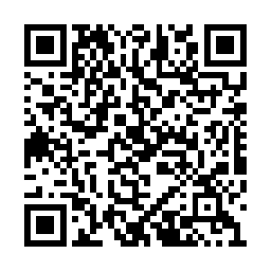 一直萦绕在阿二身上的那种危险气息才逐渐消弭二维码生成