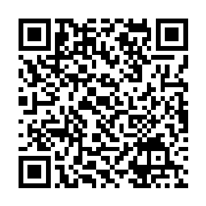 一直藏身于门外的龙建平和龙白石等人一起走了进来二维码生成