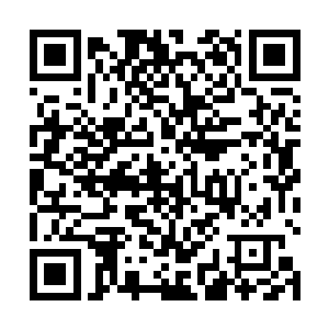 一直表现的举重若轻的尤此刻仿佛遭遇了什么天敌一样二维码生成