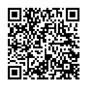 一直表现的虚弱无力的雪狼巨大的身体突然抖动了两下二维码生成