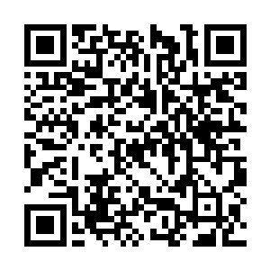 一直被抓着两只小手动弹不得的墨小宝不满的抗议二维码生成