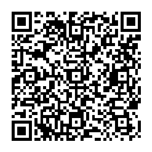 一直装着莫测高深寻求生机的吴梦溪脑海里最后一点小算盘被眼前的血腥吓得心神皆飞二维码生成