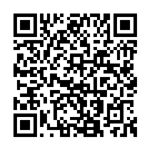一直警惕的商修者探子们也满头雾水的郁闷回归二维码生成