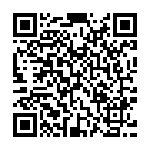 一直负责培养t病毒的那位骇客手下看到屏幕中反应出来的资料二维码生成