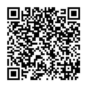 一直足有两丈多高的大力金刚猿出现在了几个青山书院的弟子面前二维码生成