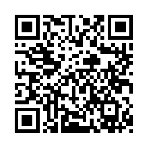 一直跑到前面树叶又开始出现正常的绿色了二维码生成