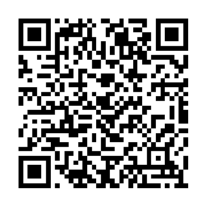 一直跟在凌炎身后的那名不知姓名的老者也死了二维码生成