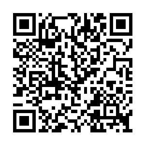 一直跟在外面的某个慈悲观的修士才撤回了神识二维码生成