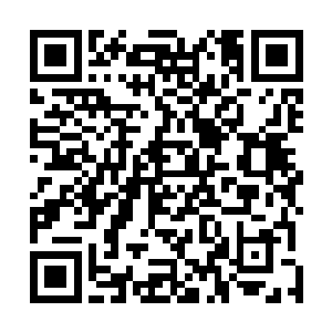一直跟随在邱雨身边的那两位道源三层境老者也纷纷出手二维码生成