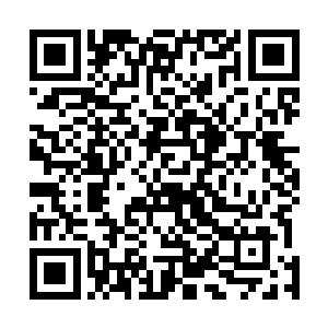 一直跪立在山脚下的云梦之境的那位始祖抬头看了眼上空二维码生成