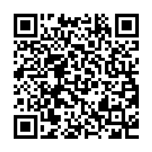 一直身居刘管家之下的李管家顿时有一种马上取代刘管家的激动二维码生成