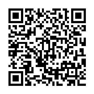 一直躲在草丛中只伸手拍摄的林东都下意识的做了个提肛的动作二维码生成