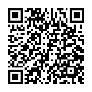 一直躲在轩辕离歌院子里的玉晓梦和玉大娘才站出来二维码生成