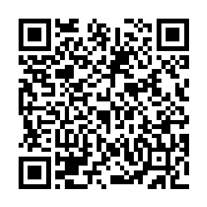 一直遇到琳琅他们那群高二的事都跟小凯和黑卷毛说了二维码生成