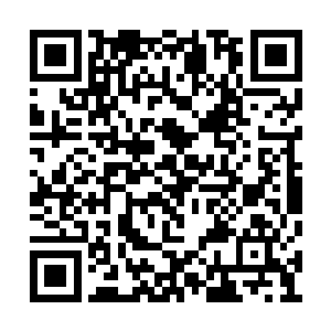 一直都在强忍着没有爆发的白色月牙终于开口了二维码生成