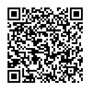一直都是他的眼中钉肉中刺――这片地当时他收的时候就是三千五百万二维码生成